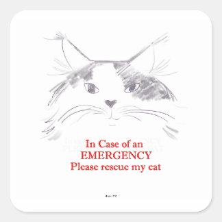 Sticker Carré En coque d'urgence s'il vous plaît secourir mon ch
