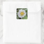 Sticker Carré en fleur de fraise (Sac)