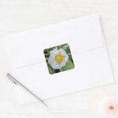 Sticker Carré en fleur de fraise (Enveloppe)