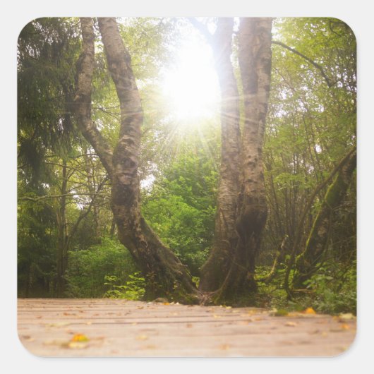 Sticker Carré En route... (Devant)