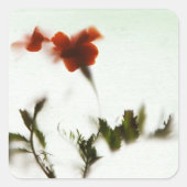 Sticker Carré Endlich Frühling ! (Devant)