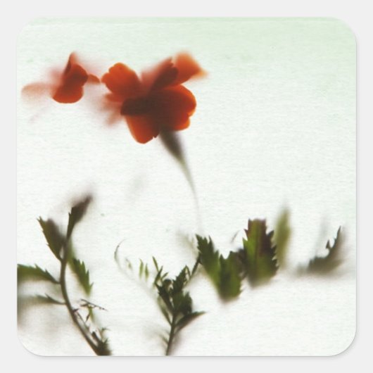 Sticker Carré Endlich Frühling ! (Devant)