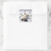 Sticker Carré English Springer Spaniel Making a Snow Angel (Sac)