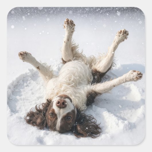 Sticker Carré English Springer Spaniel Making a Snow Angel (Devant)
