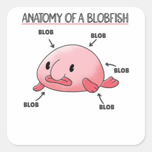 Sticker Carré Énoncé De La Blobfish Anatomie De La Blobfish