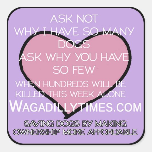 Sticker Carré Enregistrer l'autocollant Chiens (Devant)