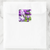 Sticker Carré Enveloppe de crocus pourpre - Phoques et autocolla (Sac)