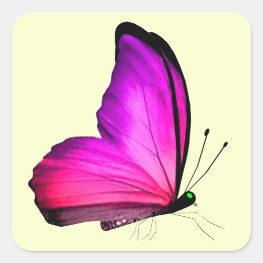 Sticker Carré Enveloppe Papillon rose (Devant)