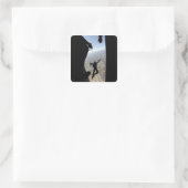 Sticker Carré Équipe de parachutistes de l'US Air Force Academy (Sac)