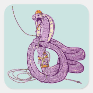 Sticker Carré Escalade King Cobra Snake Rock