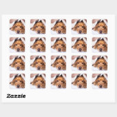 Sticker Carré Espagnol de cocaïer anglais, Chien, Chiot (Feuille)