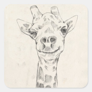 Sticker Carré Esquisse de portrait de Giraffe