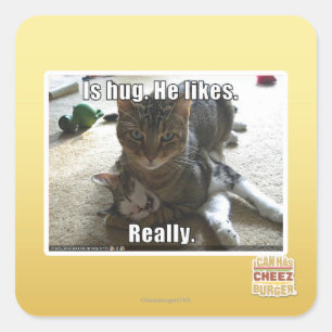 Sticker Carré Est l'étreinte. Il aime