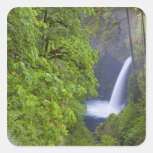 Sticker Carré États-Unis, Eagle Creek, Columbia Gorge, Oregon. 2