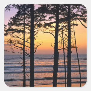 Sticker Carré États-Unis, État de Washington, NP olympique. D