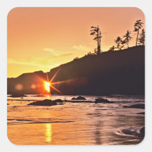 Sticker Carré États-Unis, État de Washington, Parc national ol