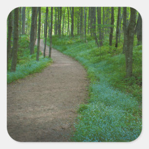 Sticker Carré États-Unis, Michigan. Chemin de Miner's Falls