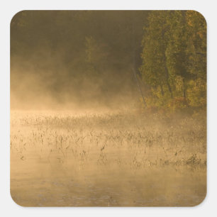 Sticker Carré États-Unis, New York, Adirondack Park. Brume de le