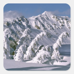 Sticker Carré États-Unis, Oregon, Crater Lake NP. Les arbres plo