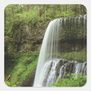 Sticker Carré États-Unis, Oregon, Silver Falls State Park. Infér