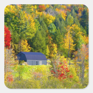 Sticker Carré États-Unis, Vermont. Feuillage d'automne le long d