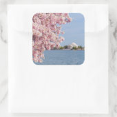 Sticker Carré États-Unis, Washington DC, Cherry tree (Sac)