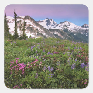 Sticker Carré États-Unis, Washington, montagnes Cascade, Nord