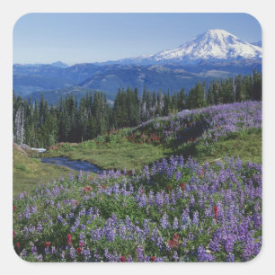 Sticker Carré États-Unis, Washington Mt. Adams Wilderness, prair