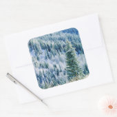 Sticker Carré États-Unis, Washington, Mt. Spokane State Park, As (Enveloppe)