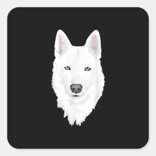 Sticker Carré Etonnant Husky Sibérien blanc - Douce neige blanc