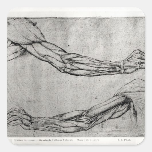 Sticker Carré Étude des armes (Devant)