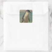 Sticker Carré Étude d'un pingouin (Sac)