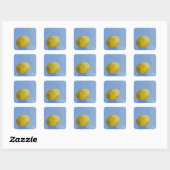 Sticker Carré Étude sur le citron (Feuille)