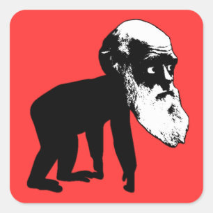 Sticker Carré Évolution drôle de Darwin