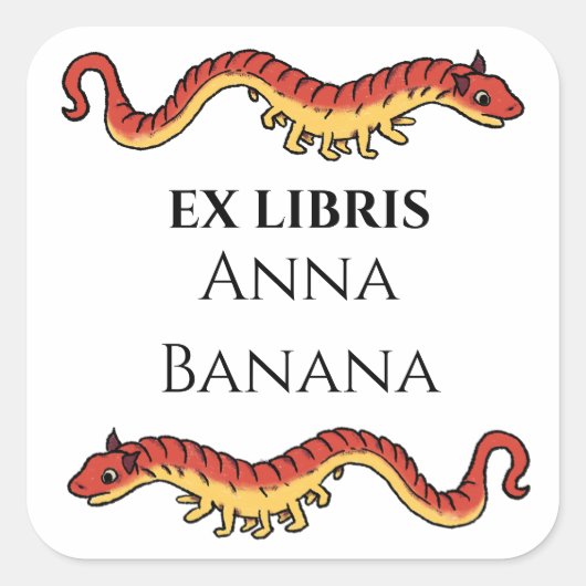 Sticker Carré Ex-libris Dragon Médiéval (Devant)