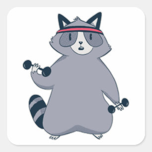 Sticker Carré Exercice Raccoon