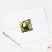Sticker Carré Exotique Tropical Toco Toucan Bird - Peinture Mign (Enveloppe)