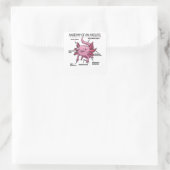Sticker Carré Explication Axolotl Anatomie D'Un Axolotl (Sac)