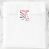 Sticker Carré Explication Axolotl Anatomie D'Un Axolotl (Sac)