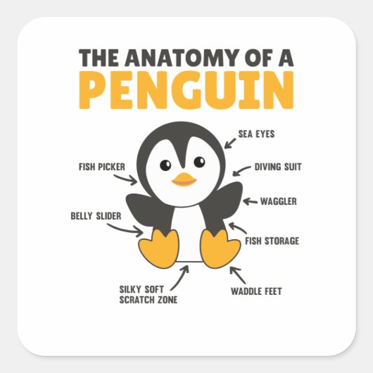 Sticker Carré Explication Drôle D'Un Pingouin L'Anatomie (Devant)