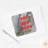 Sticker Carré Explorers de Northern Blackforest (Enveloppe)