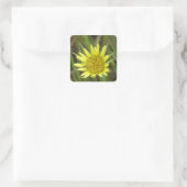 Sticker Carré F41 Barbe de chèvre Fleur sauvage jaune (Sac)