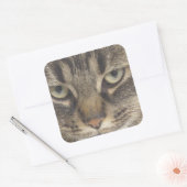 Sticker Carré Face de chat (Enveloppe)