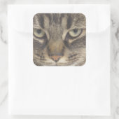 Sticker Carré Face de chat (Sac)