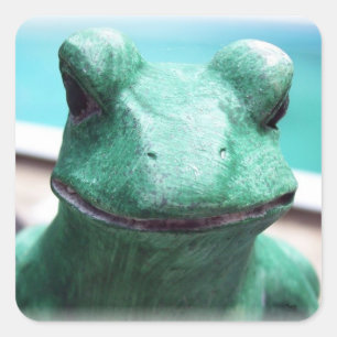 Sticker Carré Face de grenouille