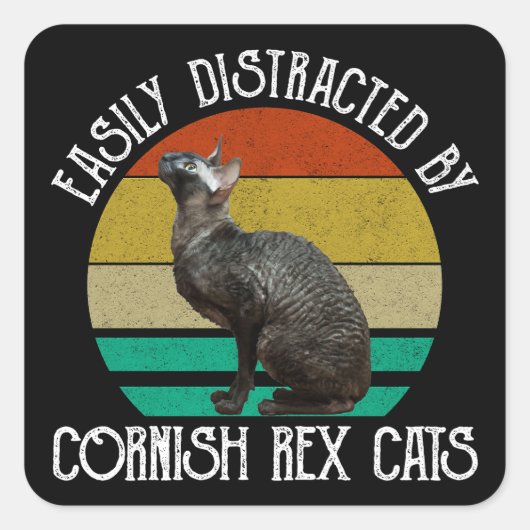 Sticker Carré Facilement Distrait Par Les Chats Cornish Rex (Devant)
