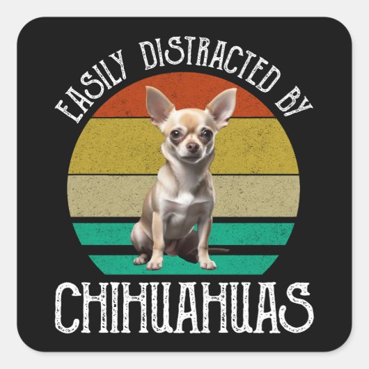 Sticker Carré Facilement Distrait Par Les Chihuahuas (Devant)