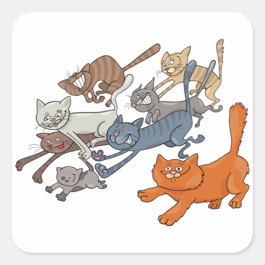 Sticker Carré Faire tourner des chats (Devant)