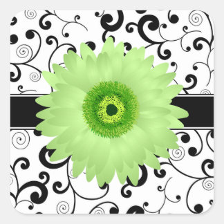 Sticker Carré Faisée verte Gerbera avec sceau design noir