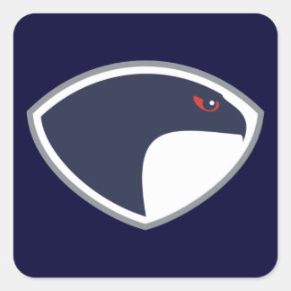 Sticker Carré Falcons